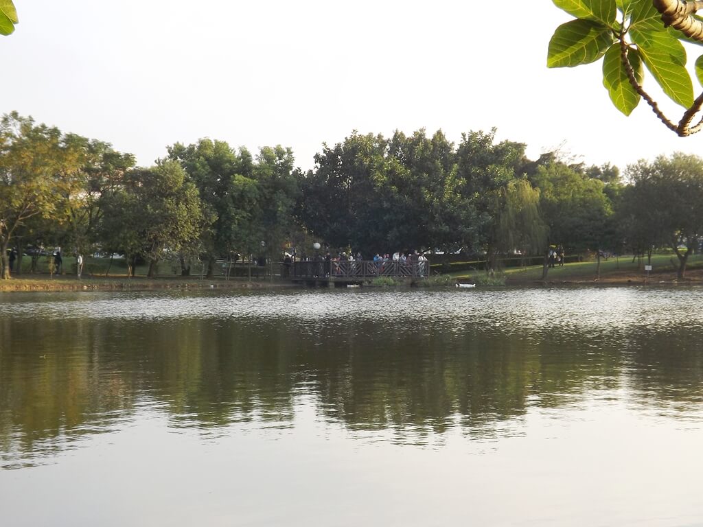 八德埤塘自然生態公園的圖片：寧靜的湖面