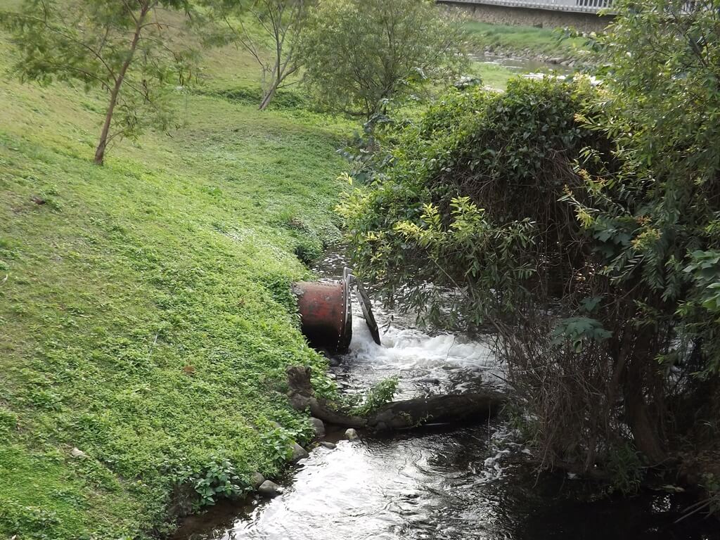 平鎮新勢公園的圖片：淨化水資源出水涵管
