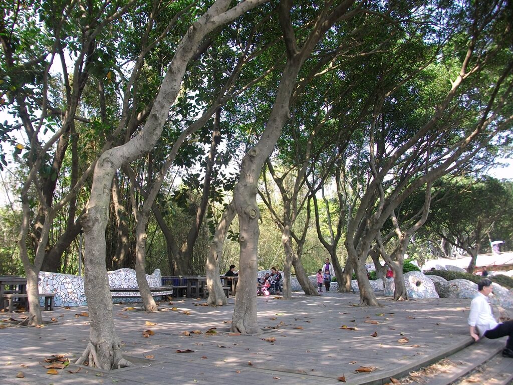 龍潭觀光大池（龍潭大池）的圖片：鋪設木質地板的樹蔭