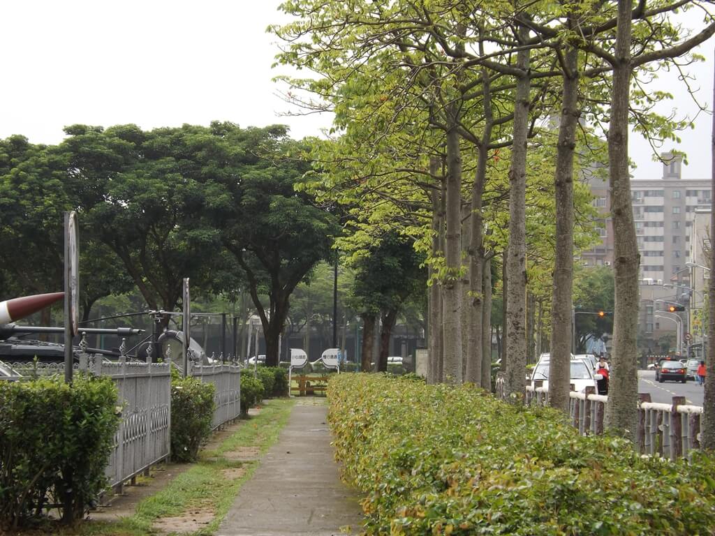 龍潭運動公園的圖片：龍潭區公園路一側的木棉花步道