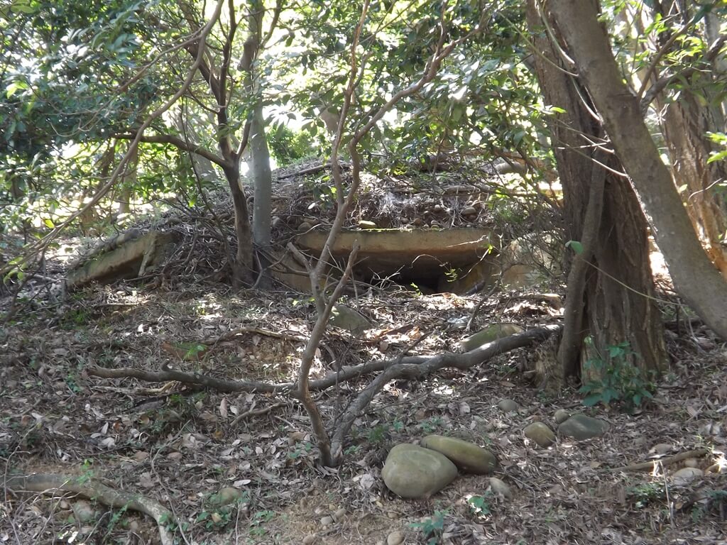 楊梅貴山客家文化公園的圖片：隱藏在山坡上的廢棄碉堡