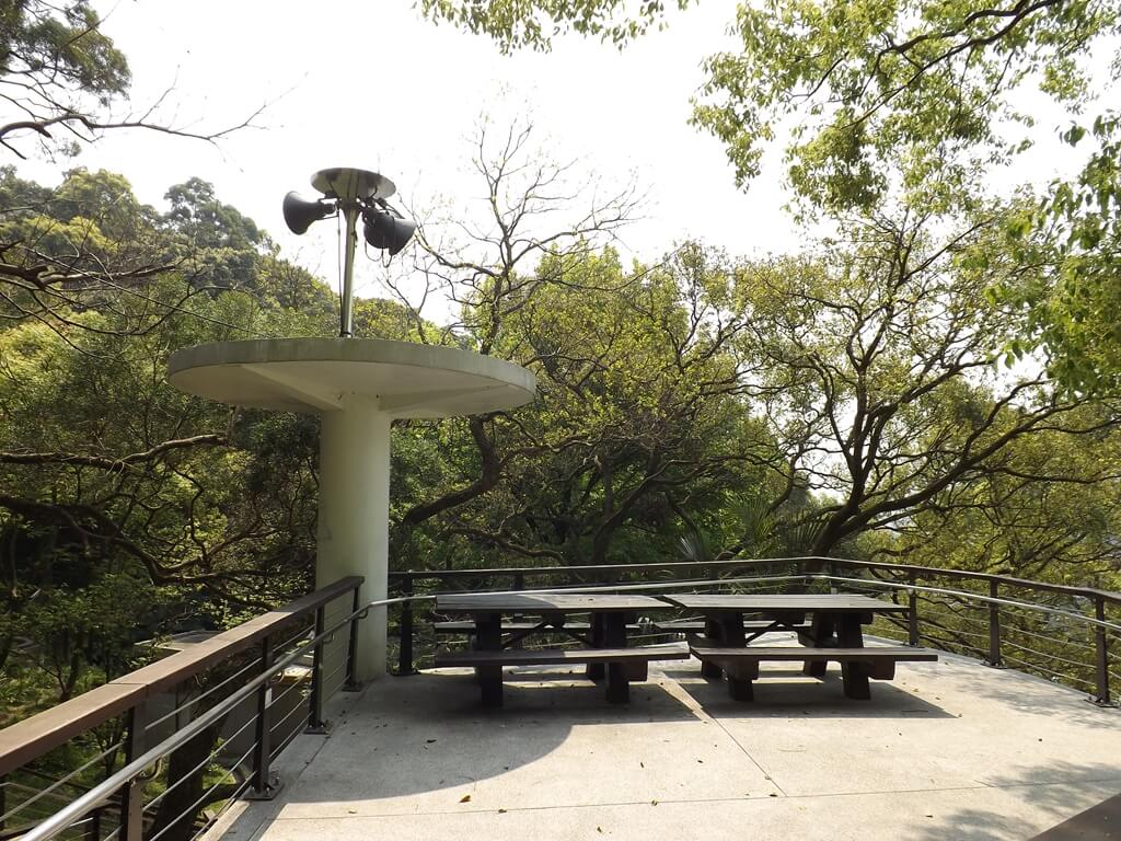 虎頭山公園（桃園市）的圖片：地勢較高的觀景台