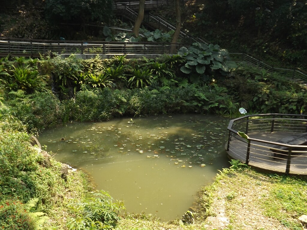 虎頭山公園（桃園市）的圖片：三疊水池的生態池