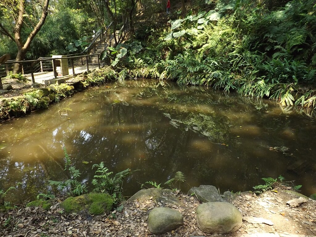 經國梅園的圖片：生態水池