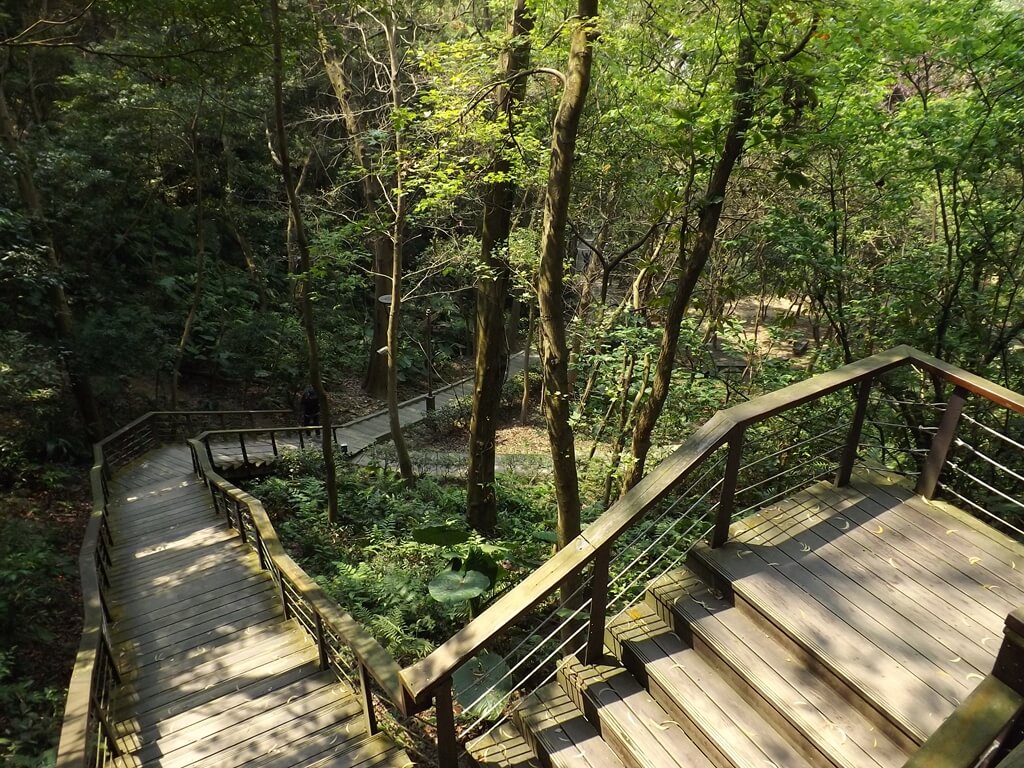 經國梅園的圖片：木棧階梯