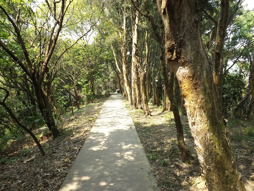 經國梅園的圖片：生態解說步道的一部分