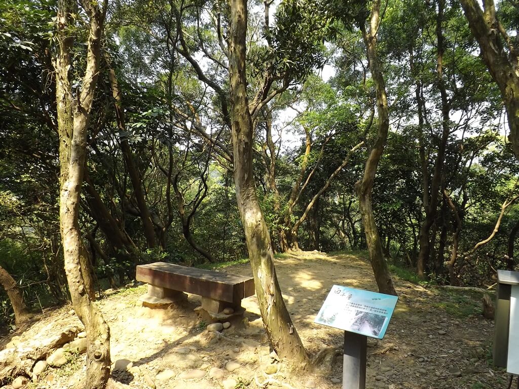 經國梅園的圖片：山林間的生態解說看板及木頭椅
