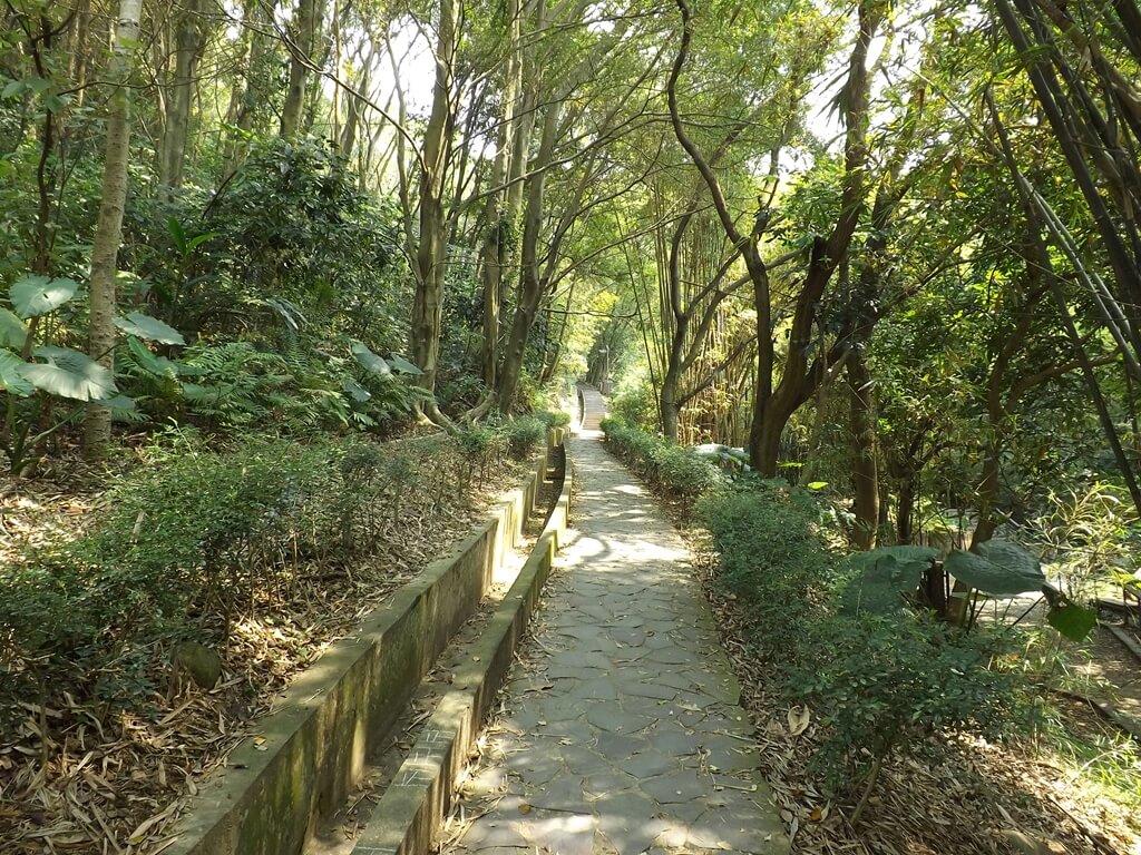 經國梅園的圖片：舒適平坦的林蔭步道