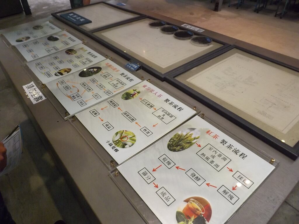 大溪老茶廠的圖片：紅茶、東方美人茶、凍頂烏龍茶製作過程看板
