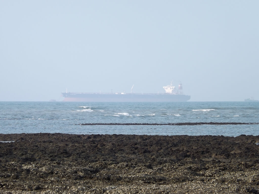 許厝港濕地的圖片：遠方海上的大型運輸船