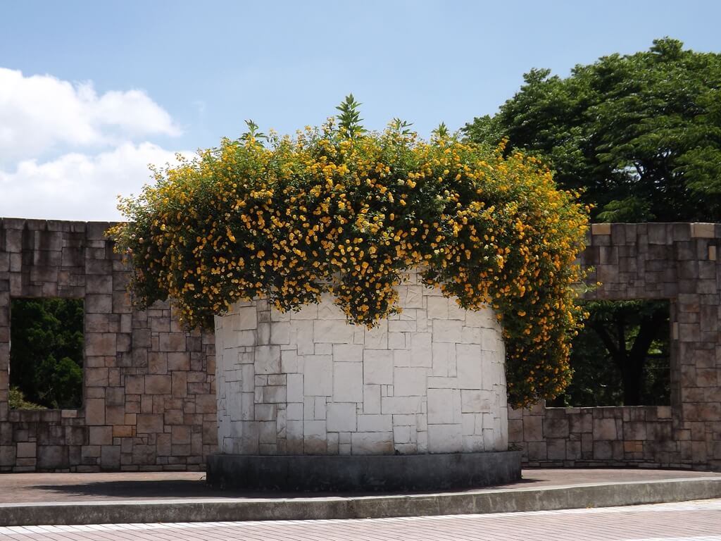 大溪埔頂公園的圖片：盛開的大花盆