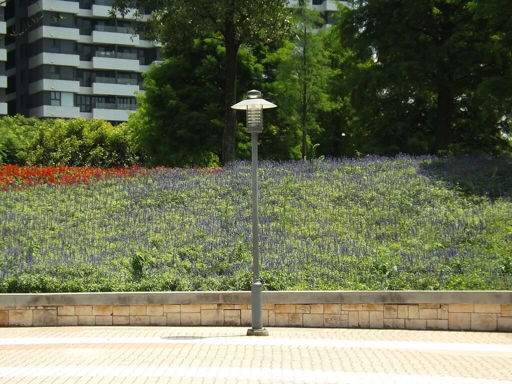 大溪埔頂公園的圖片：路燈後方紫色花圃
