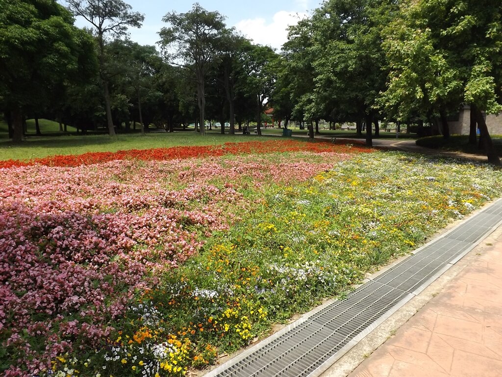 大溪埔頂公園的圖片：遍地的草花