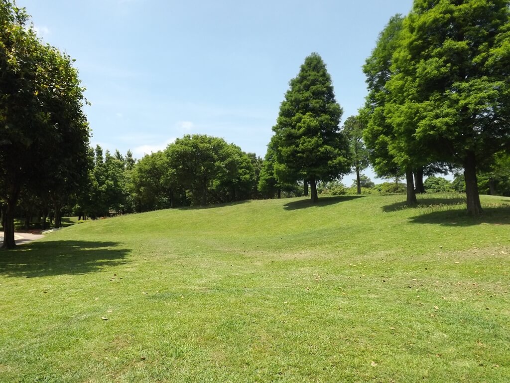 大溪埔頂公園的圖片：美麗的藍天、綠草皮與綠樹