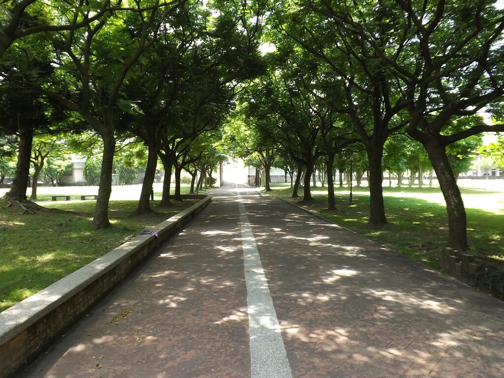 大溪埔頂公園的圖片：公園內的林蔭步道