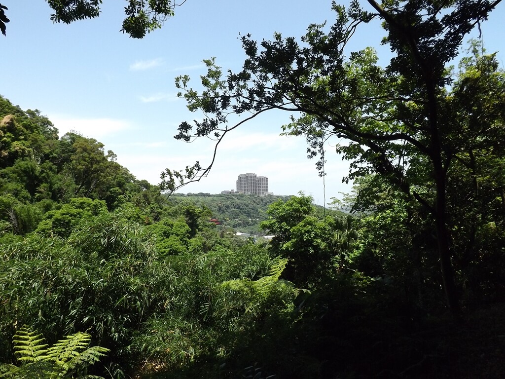 齋明寺古道的圖片：古道遠眺對面山頭的景色