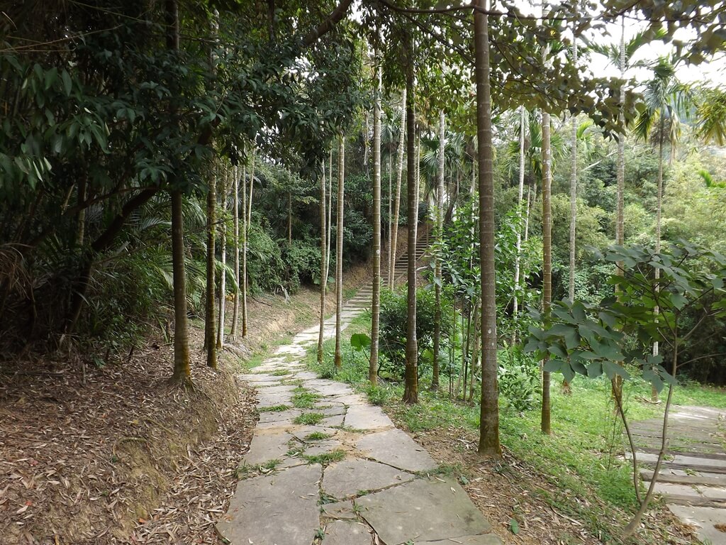 心鮮森林（已歇業）的圖片：竹林步道圖二