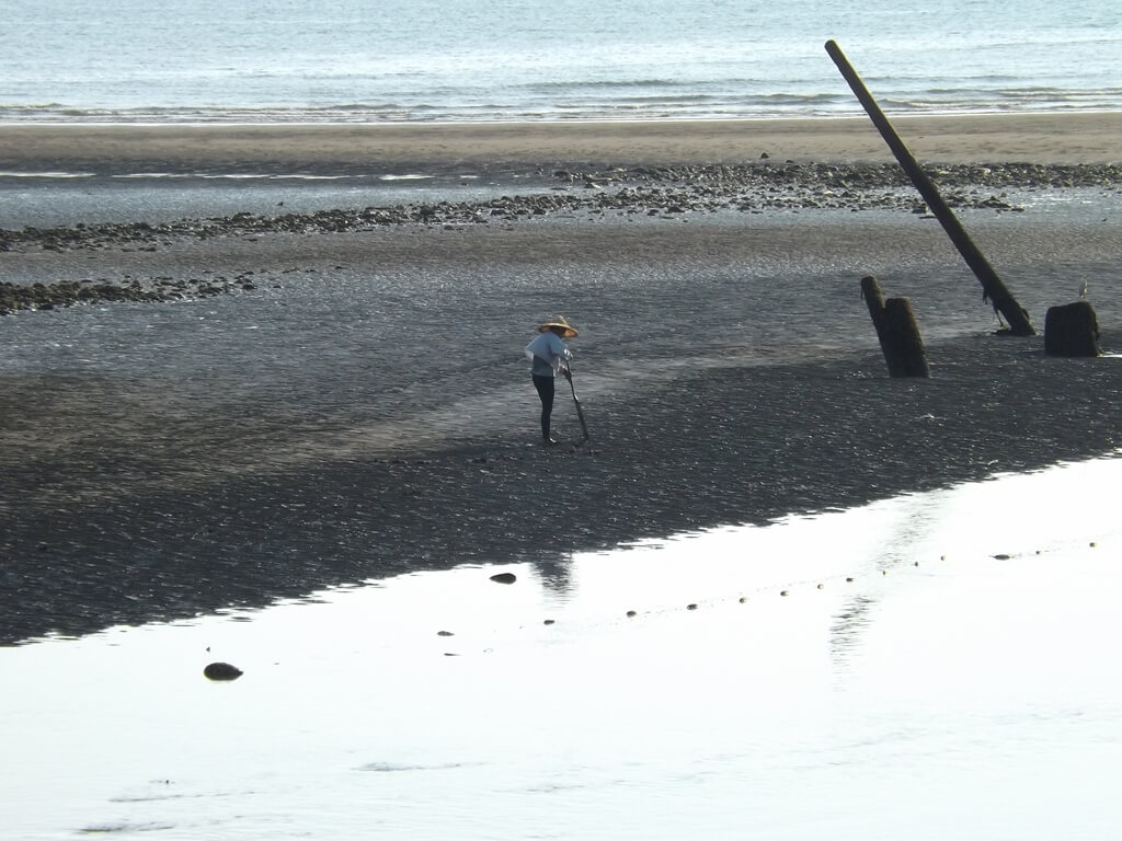 永安漁港的圖片：戴著斗笠在沙灘上尋寶的老人