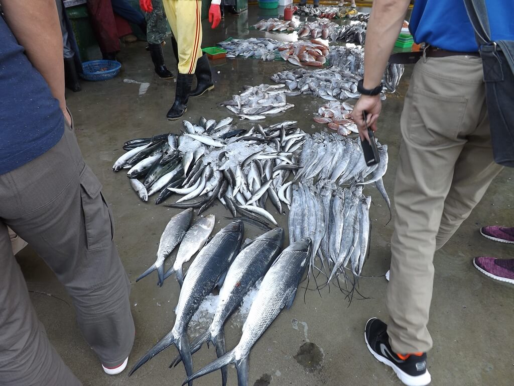 竹圍漁港的圖片：漁獲叫賣吸引許多民眾圍觀