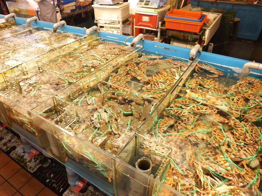 竹圍漁港的圖片：各式活螃蟹、花蟹、三點蟹銷售水缸