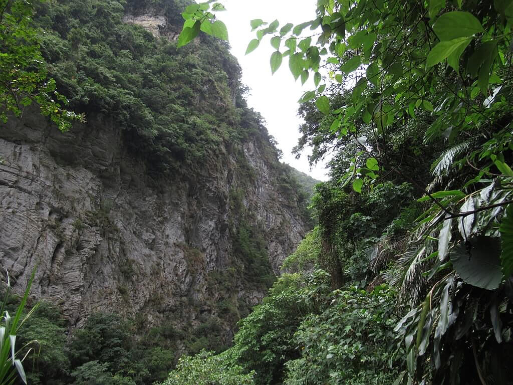 砂卡礑步道（太魯閣國家公園景觀步道）的圖片：砂卡礑步道對面的陡峭山壁