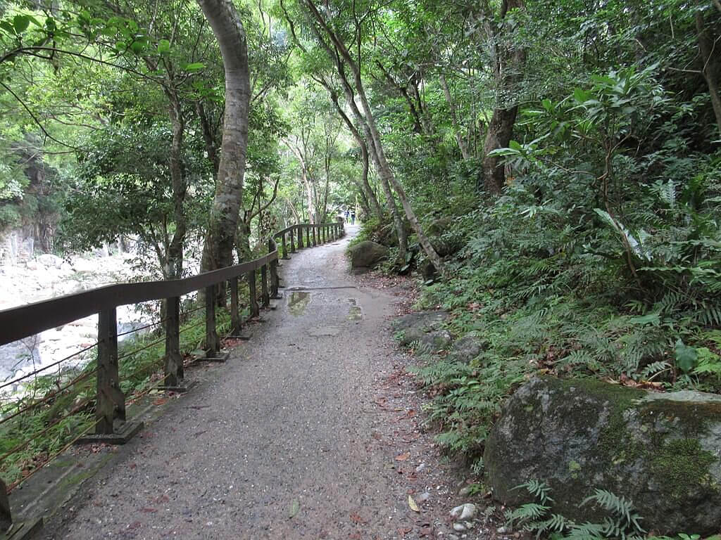 砂卡礑步道（太魯閣國家公園景觀步道）的圖片：砂卡礑步道圖（編號 123655081）