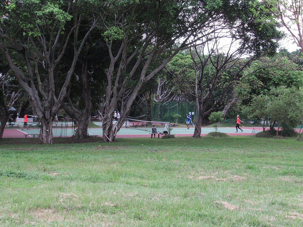 古亭河濱公園的圖片：隱藏在樹叢內的網球場