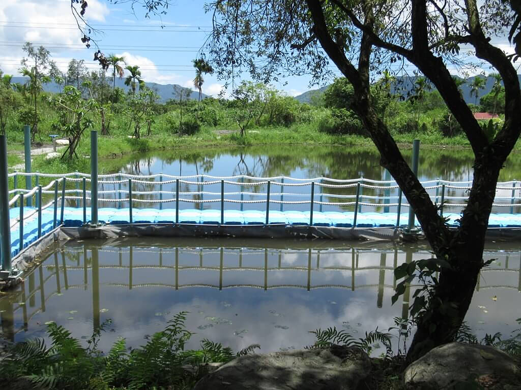 馬太鞍休閒農業區（馬太鞍濕地）的圖片：人工圍起來的池水區