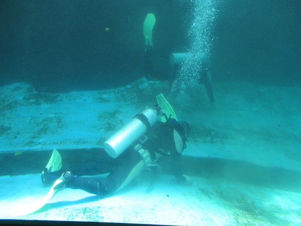 花蓮遠雄海洋公園的圖片：正在清洗海獅水族箱的工作人員