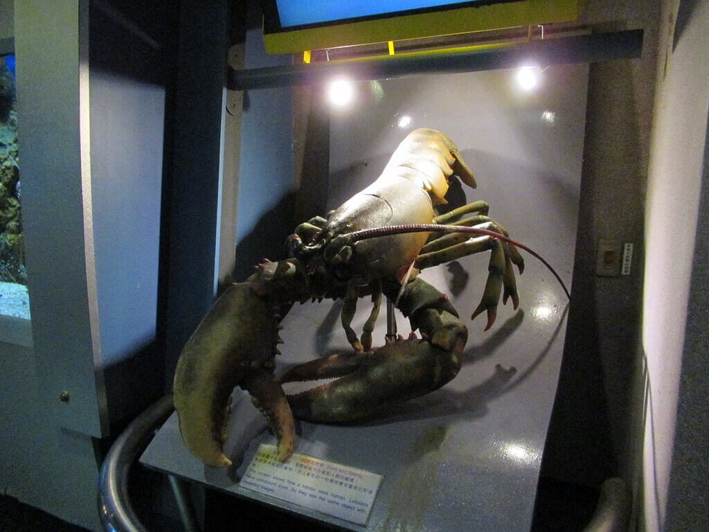花蓮遠雄海洋公園的圖片：巨型龍蝦模型