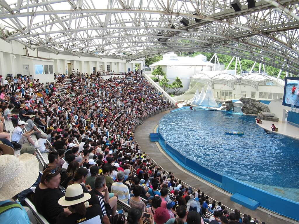 花蓮遠雄海洋公園的圖片：海豚表演（123655558）
