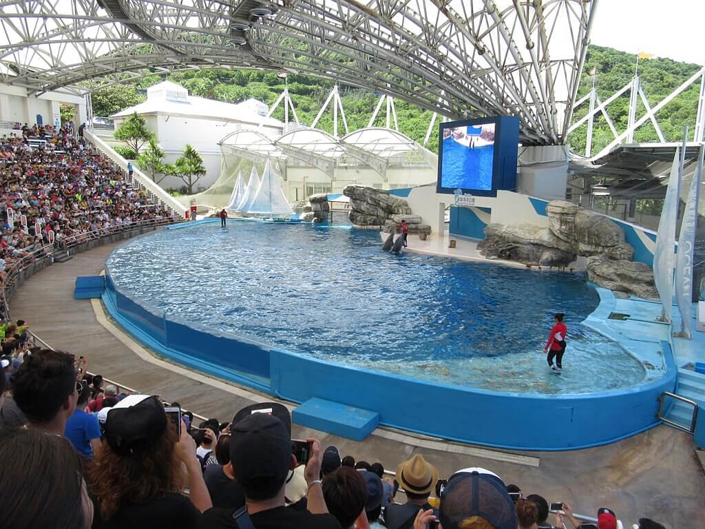 花蓮遠雄海洋公園的圖片：海豚表演（123655559）
