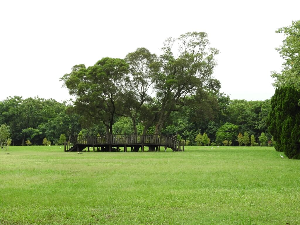 埔心牧場的圖片：草皮上的木棧道