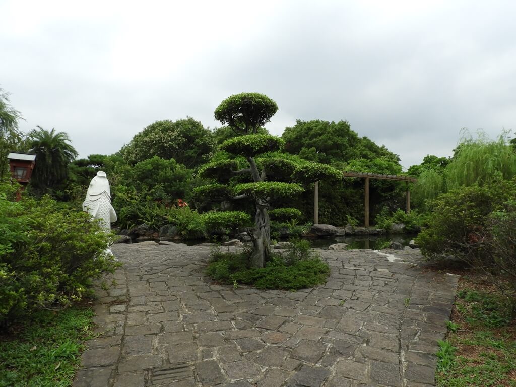 埔心牧場的圖片：日式花園的松樹