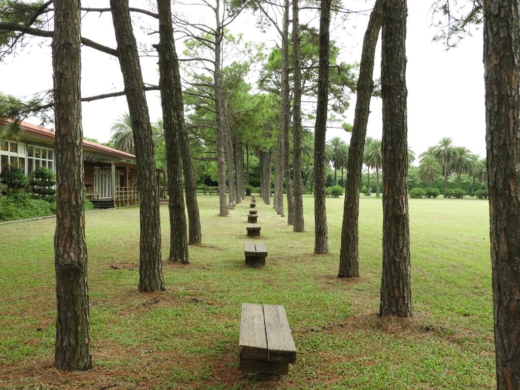 埔心牧場的圖片：樹林間的椅子