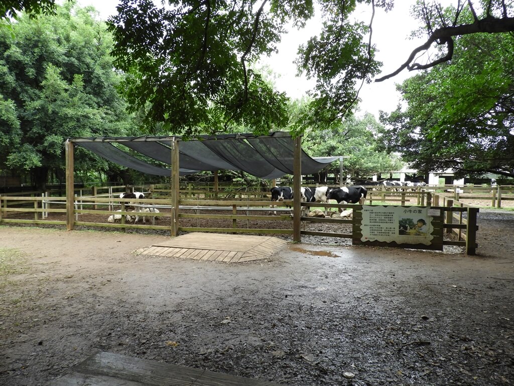 埔心牧場的圖片：小牛的家