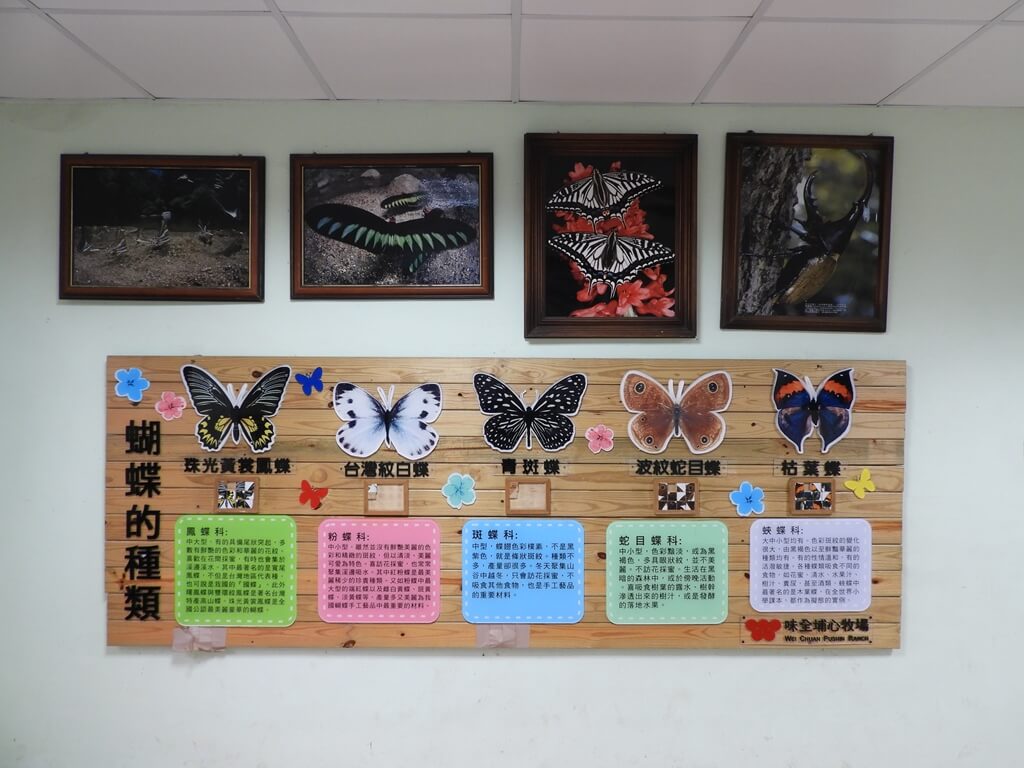 埔心牧場的圖片：蝴蝶的種類看板