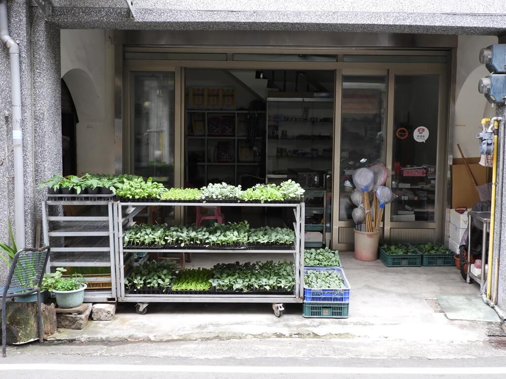 新竹縣關西老街的圖片：關西老街常見的菜苗店