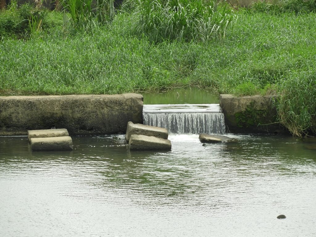 東安古橋（牛欄河親水公園）的圖片：牛欄河的水流