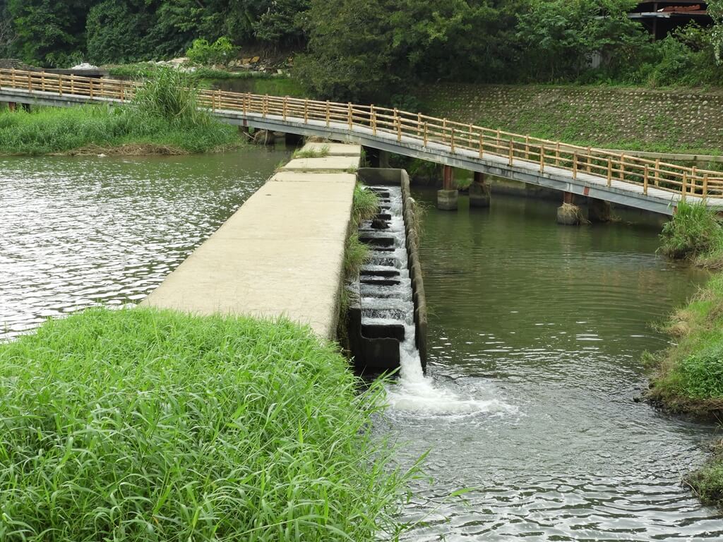東安古橋（牛欄河親水公園）的圖片：牛欄河親水公園步道及小水壩（123655962）