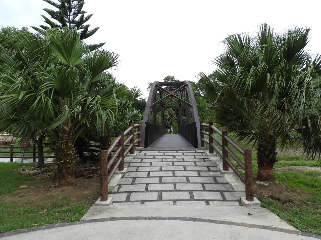 東安古橋（牛欄河親水公園）的圖片：木橋及兩側栽種的鐵樹