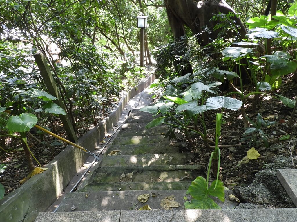 北投兒童樂園的圖片：通往防空洞的石階步道