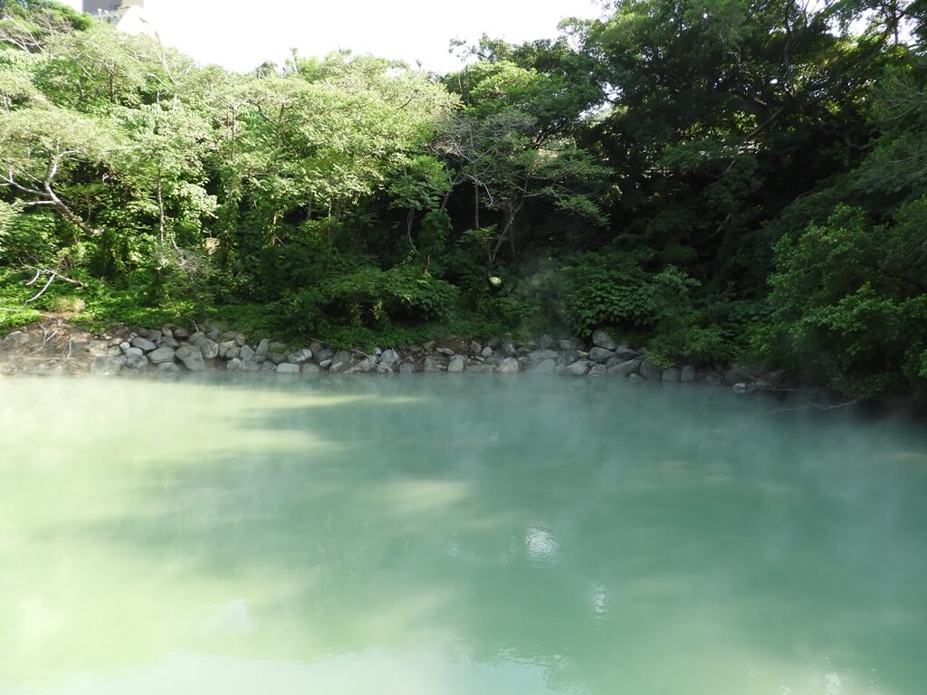 地熱谷的圖片：地熱谷的水質呈現淺綠色
