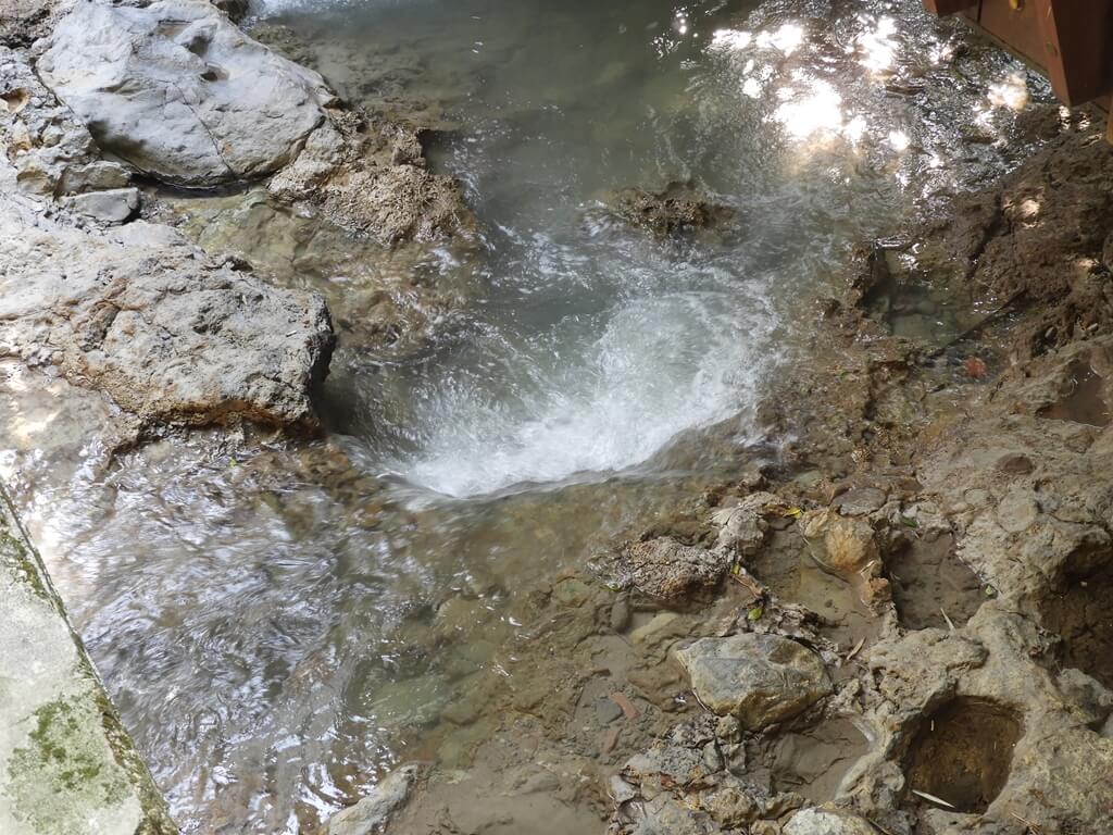 北投公園的圖片：硫礦味很濃的溪水（123656389）
