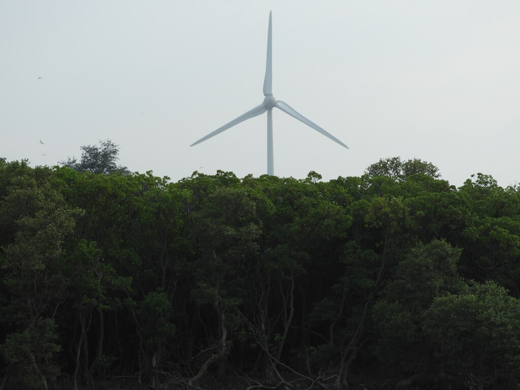 新豐紅樹林生態保護區的圖片：看得到岸邊的風力發電機