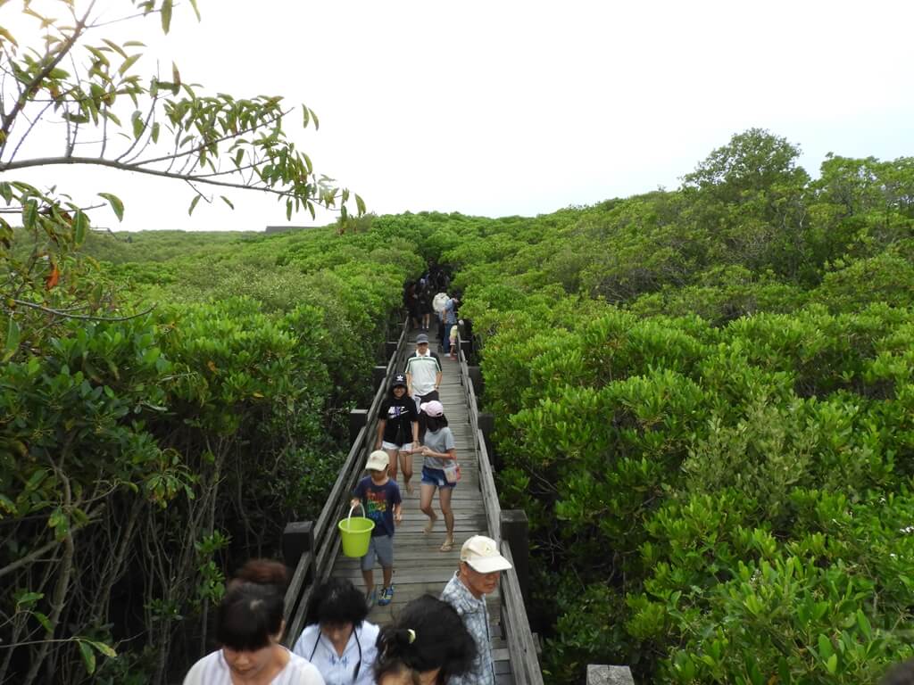 新豐紅樹林生態保護區的圖片：木棧道上都是遊客