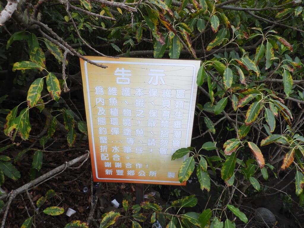 新豐紅樹林生態保護區的圖片：嚴禁垂釣彈塗魚、螃蟹的告示牌