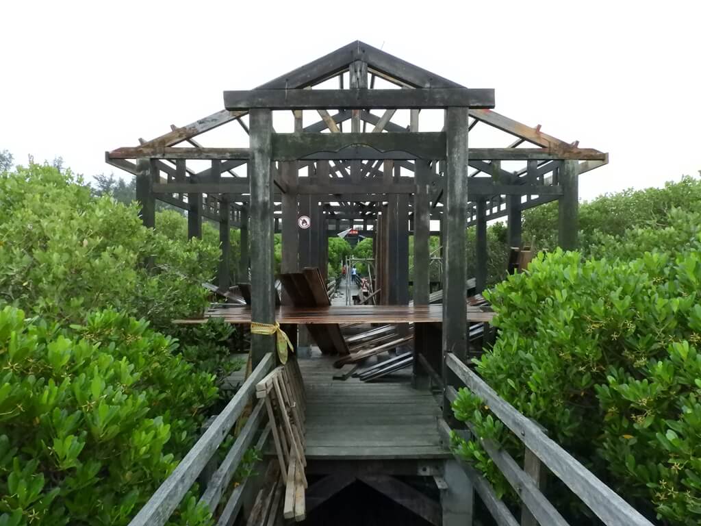 新豐紅樹林生態保護區的圖片：破損的木棧道