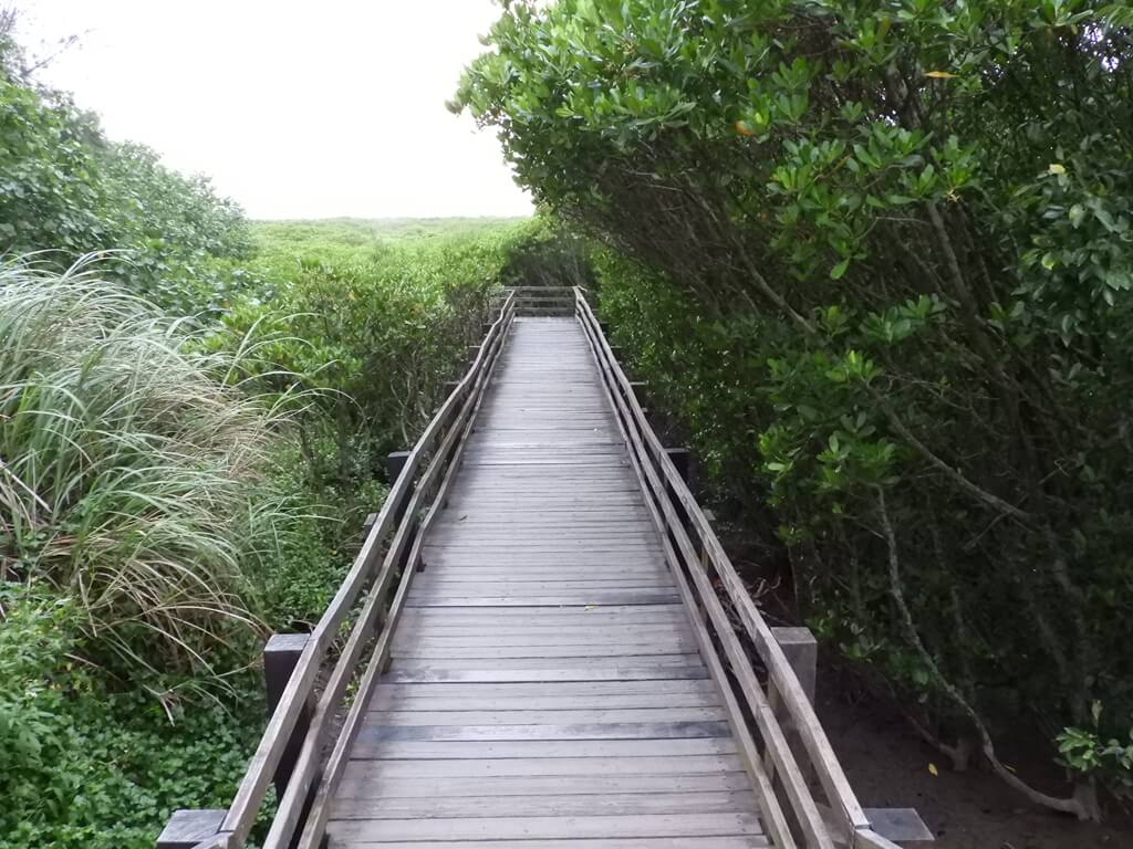 新豐紅樹林生態保護區的圖片：木棧道（123656551）