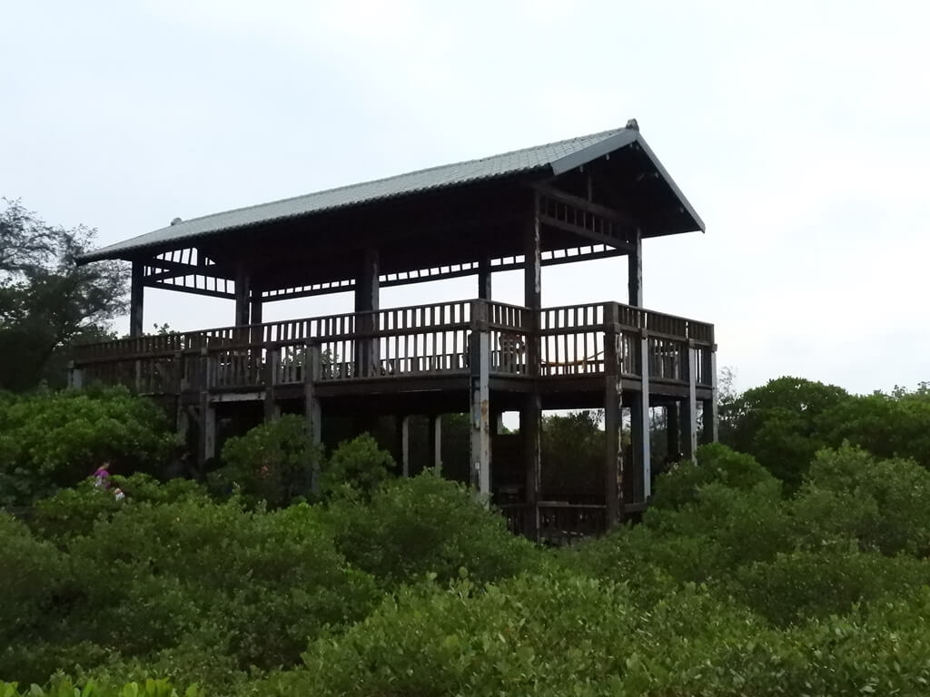 新豐紅樹林生態保護區的圖片：較高的觀景台